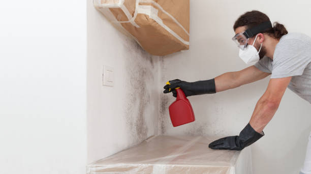 Professional Bathroom Mold Removal technician working in Anna, IL