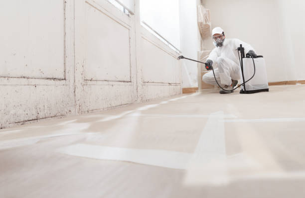 24/7 Emergency Bathroom Mold Removal experts in Anna, IL
